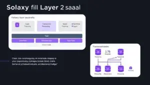 Solaxy architecture diagram showing Layer 2 scaling solution for Solana blockchain as a top upcoming crypto project with 100x potential